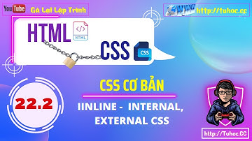 22.2 CSS cơ bản- Inline, internal, and external part 2 CSS tutorial for web development