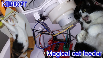 Kibbot, a cat feeder with a Pi inside