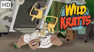 Wild Kratts  Swing Like a Spider Monkey and Bite Like a Real Spider