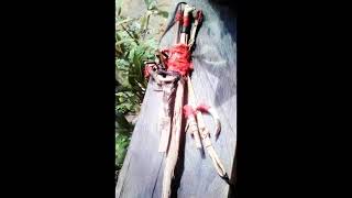 Download lagu Karungut mandau talawang pahari...