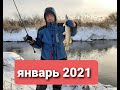 Рыбалка на спиннинг в ЯНВАРЕ 2021!!!
