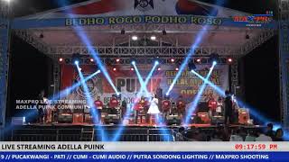 Satu hati sampai mati duet fira azzahra & cak fendik OM ADELLA LIVE PUINK COMMUNITY 2019