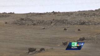 Recent rains cause Folsom Lake level to rise