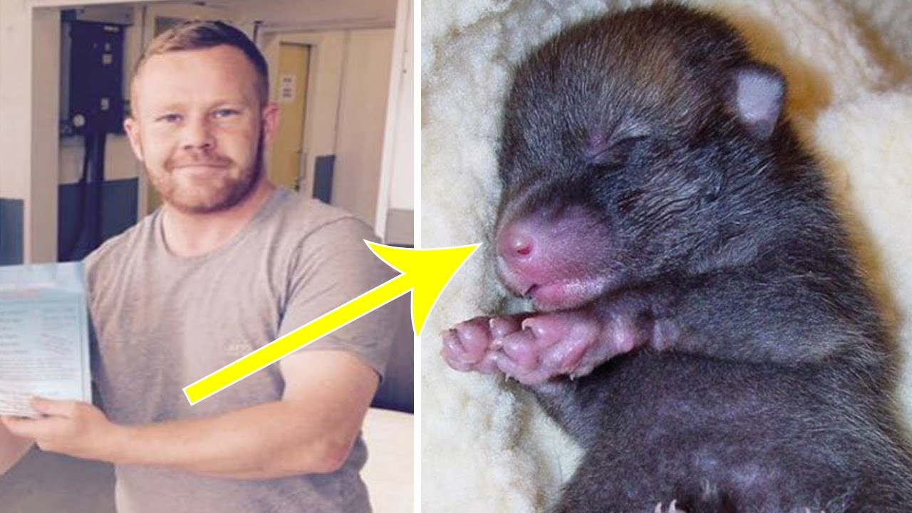 Abandoned 'Puppies' This Man Finds In His Garden Are ...