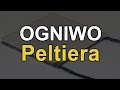 Ogniwo Peltiera [RS Elektronika] #75