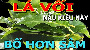 Cảnh báo: Người Đến Tuổi 50 CỨ UỐNG LÁ VỐI cùng với THỨ NÀY chữa cả tỷ bệnh THẦN DƯỢC 100 triệu đồng