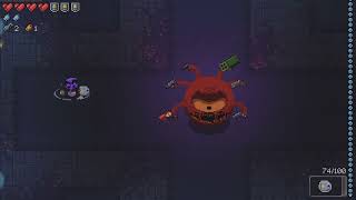 Gungeon 120, Some Damageless Floors? 😗