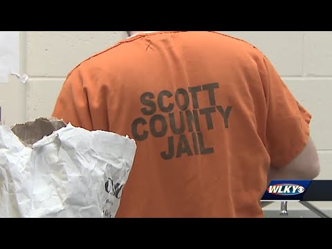 Scott County Iowa Inmate Search
