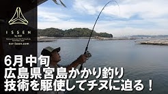 Issen By Nsr 究極のかかり釣りロッド チヌ 筏 Youtube