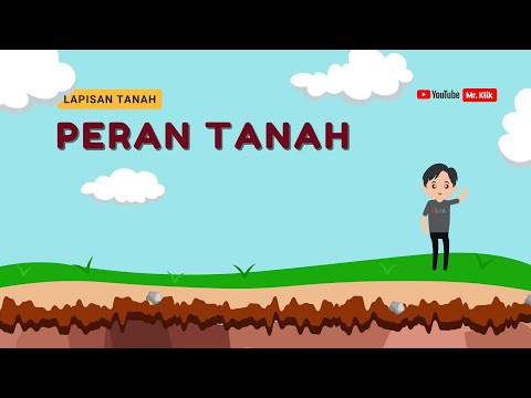 Video: Apa peran kehidupan?