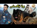 بولا هجمت علي النسناس وكان هيموت والنسناس عاوز يضربها