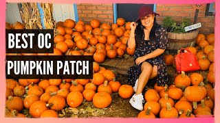 Best Pumpkin Patch In Orange County - Irvine Park Railroad - Halloween - The Amateur Youtuber