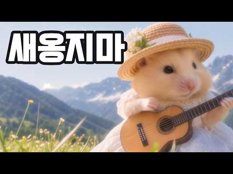 인생사 새옹지마 thumbnail