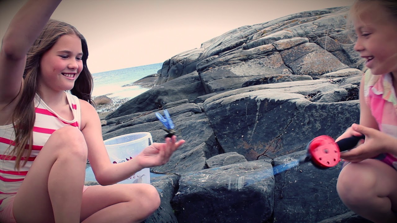 Jeg folder mine hender små – Jarle Waldemar