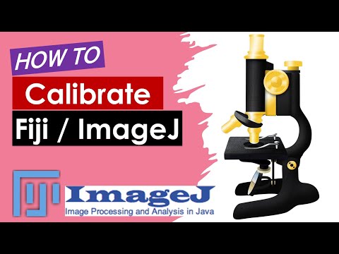 How to calibrate ImageJ (Fiji) | Scale bar in ImageJ | Calibrating stage micrometer