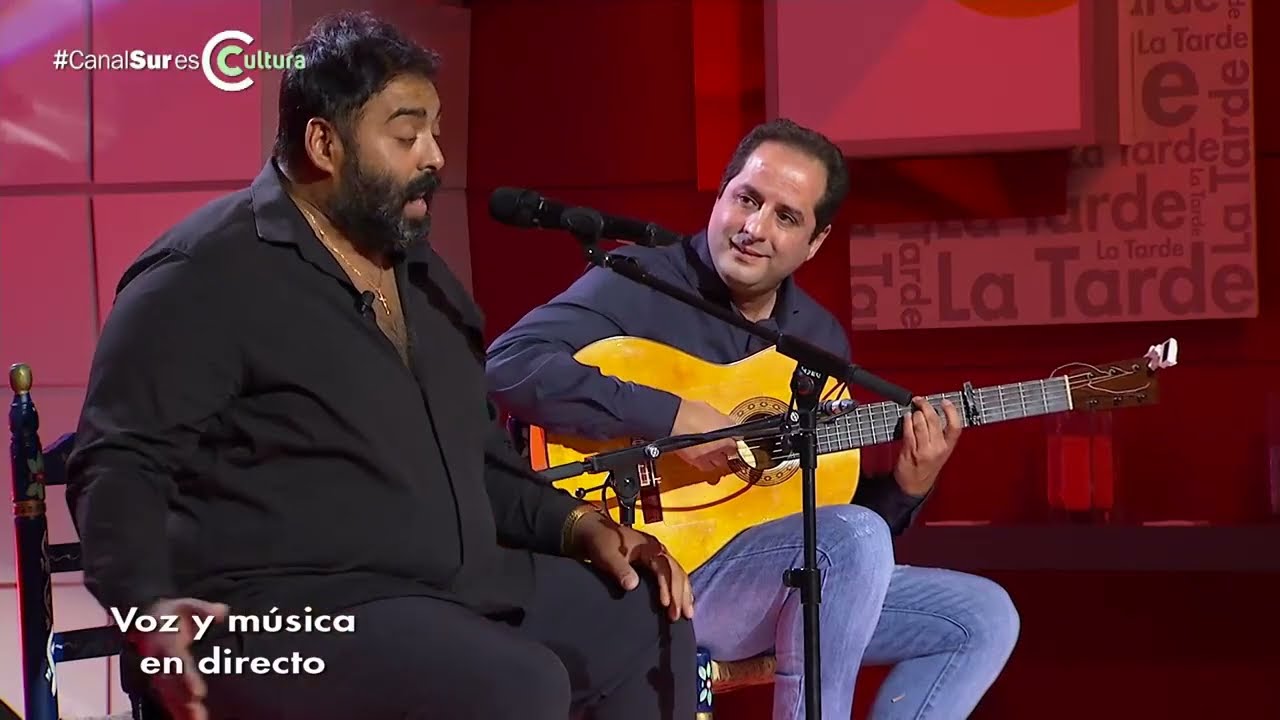 Taranta. Maldigo mi cobardía. David de Jacoba. 2022