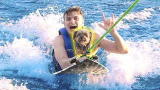 SURFING WITH MY DOG!! SURFING WITH MY DOG!!
