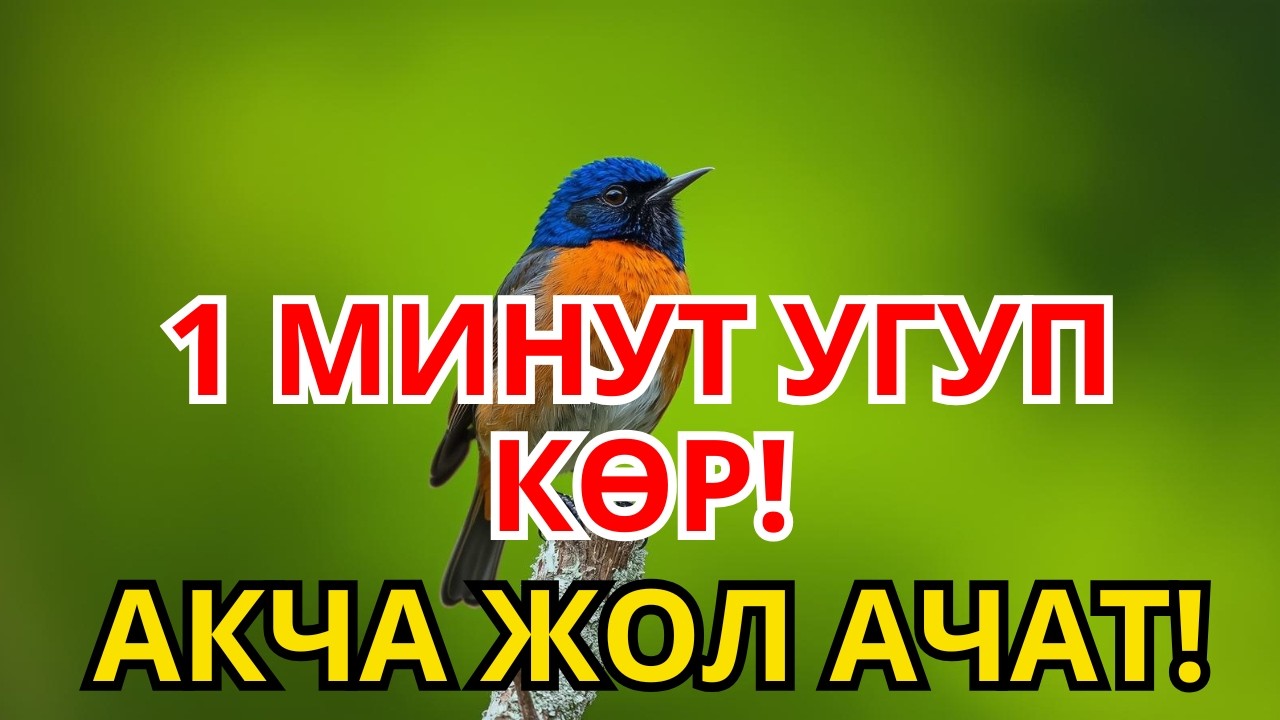 1 ДУА ЖЕТИШТҮҮ 😭 Акча Эшиги ТАРС АЧЫЛАТ