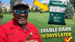 Did Yardmastery Double Dark really work? 