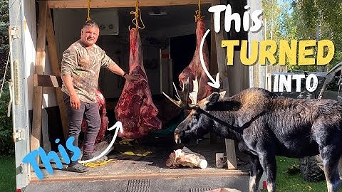 Processing Our Moose, We Killed (Part 3)