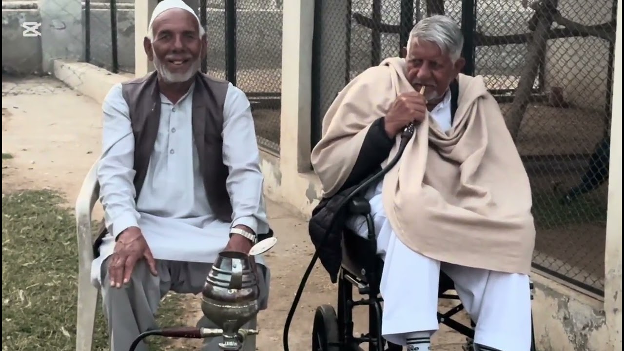 Haweli mein naye podhe lage hain