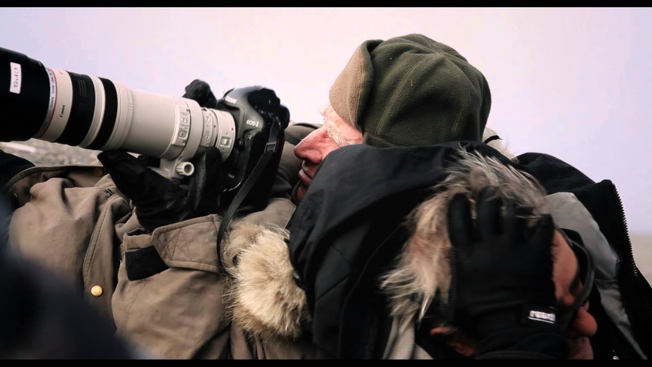 Кадр из трейлера «Соль земли»