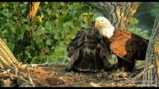 Decorah Hatchery Eagles Breakfast 06-01-2023