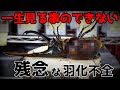 閲覧注意…一生見たくない【羽化不全】ヘラクレスオオカブトの掘り出しで悲惨な現実を叩き付けられた…