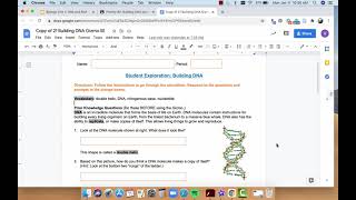 Building DNA Gizmo