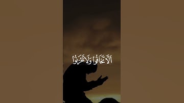 #سورة_فصلت ﴿30-31﴾ #قرآن #قران_كريم #quran
