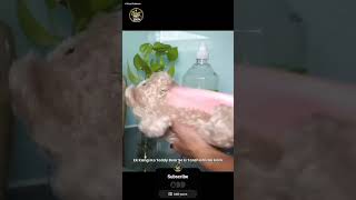 😨Science के अनोखे Experiments. #shorts #experiment #science
