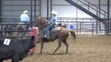Headliners Dual Star - sorting jackpot - 8 head - View Ranch
