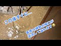 【閲覧注意】客席の掃除点検口から詰まりを抜いたんやけど溢れました😭