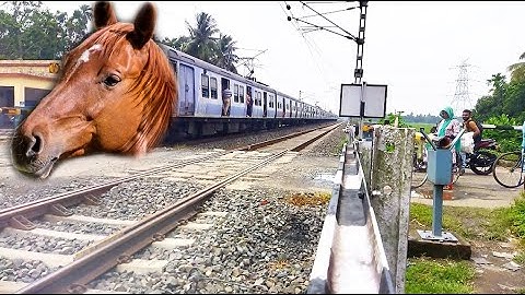 Viral Dangerous Mad Horse Speedy EMU Howrah-Katwa Local Train Furious Moving Out at Railgate