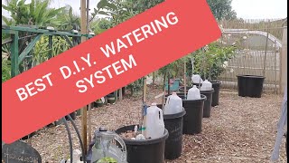 EASIEST & CHEAPEST DIY SELF WATERING SYSTEM FOR YOUR  PLANTS/ TREES.