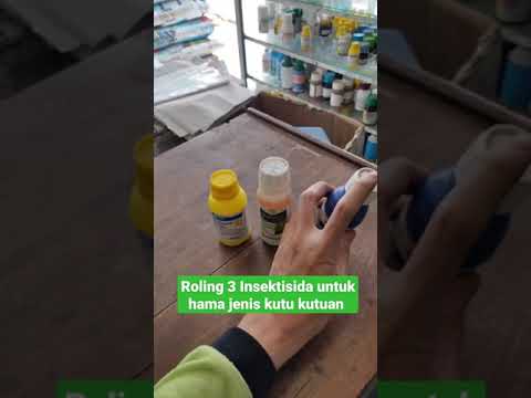 Video: Bagaimana seharusnya perang melawan kutu daun dilakukan dengan obat tradisional?