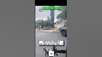 Chainsaws vs Giants – Who Wins?