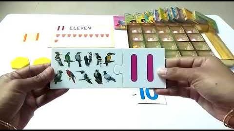 LKG - Introduction to Number - 11 | DPS Ruby Park, Kolkata