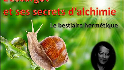 escargot signification spirituelle