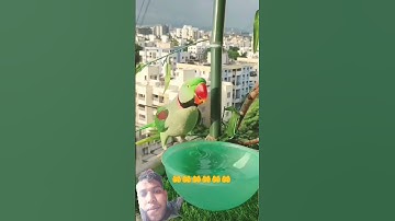 #عبدالرحمن_مسعد #عبدالرحمن_مسعد_تلاوة_جديدة #islamicstatus #mizanur_rahman_azhari #trendingreel