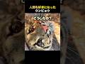 ウンピョウが人間を好きになったら起こること