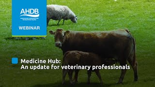 A medicine Hub update for veterinary professionals screenshot 3