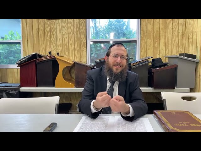 R’ Yaakov Tzvi Blejer | The Halachos of Damages, Payments and Responsibilities - Part 1 | NMB Kollel