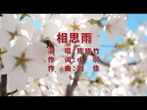 相思雨 - 卡拉OK版 (高清) #陈晓竹 #国风 #真人真唱 #song #music #4k #hd