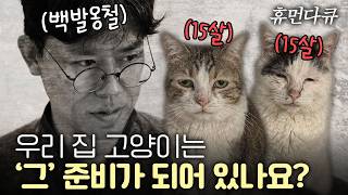 10년 동안 집에만 있던 고양이에게 나타난 충격적인 변화 [휴먼다큐 EP.2]