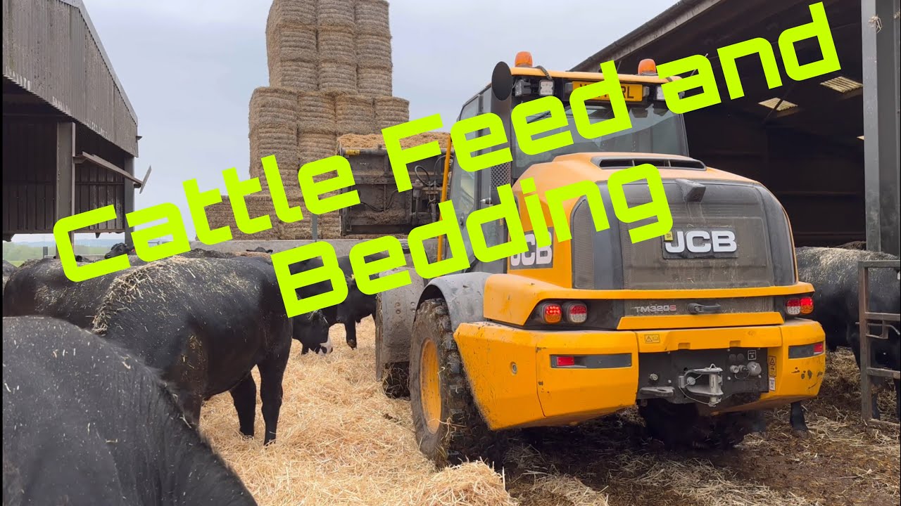 I Talk Cattle Bedding! Straw, Sawdust etc. Public and Their Thoughts on our Feed?