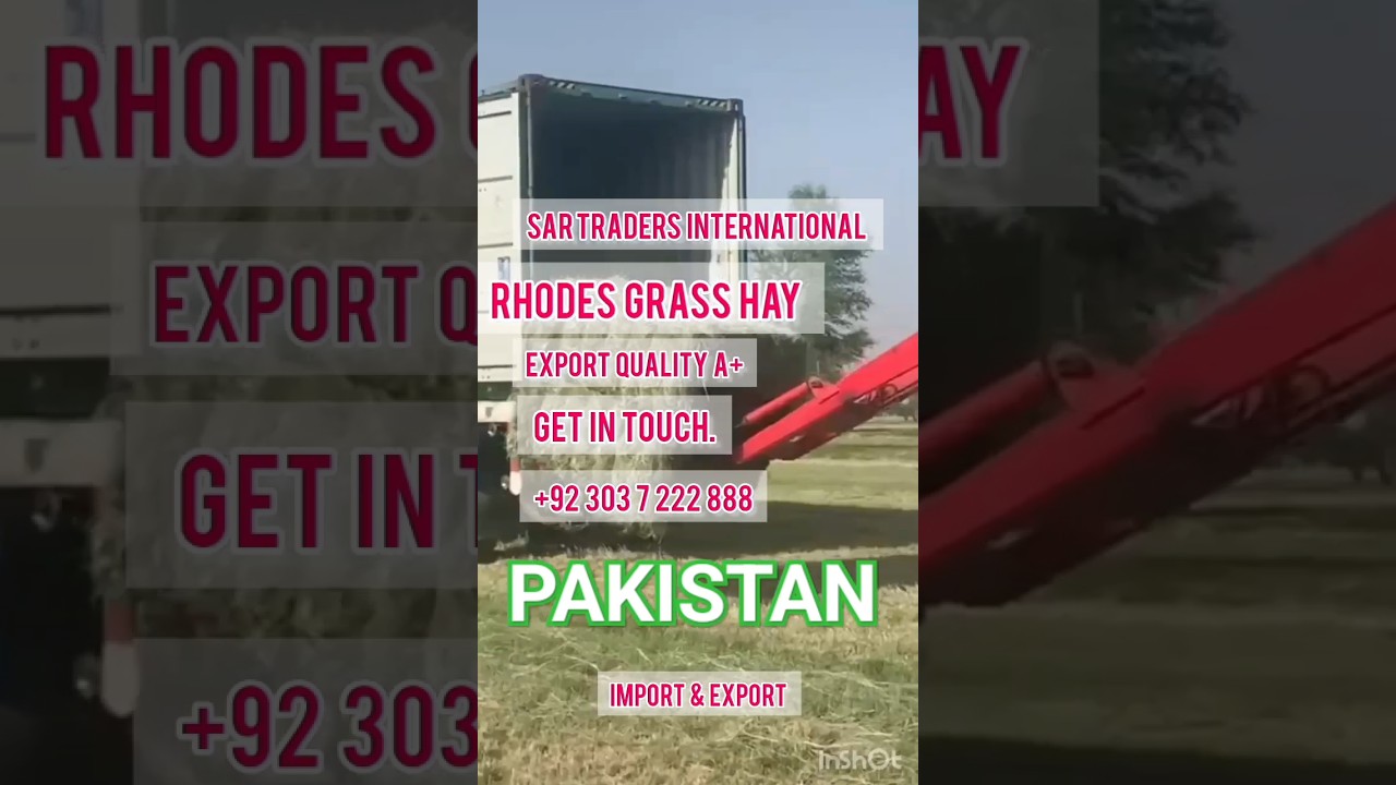 Loading of Rhodes grass hay Export Quality of Pakistan 