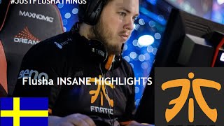 CS:GO - Just Flusha Things!