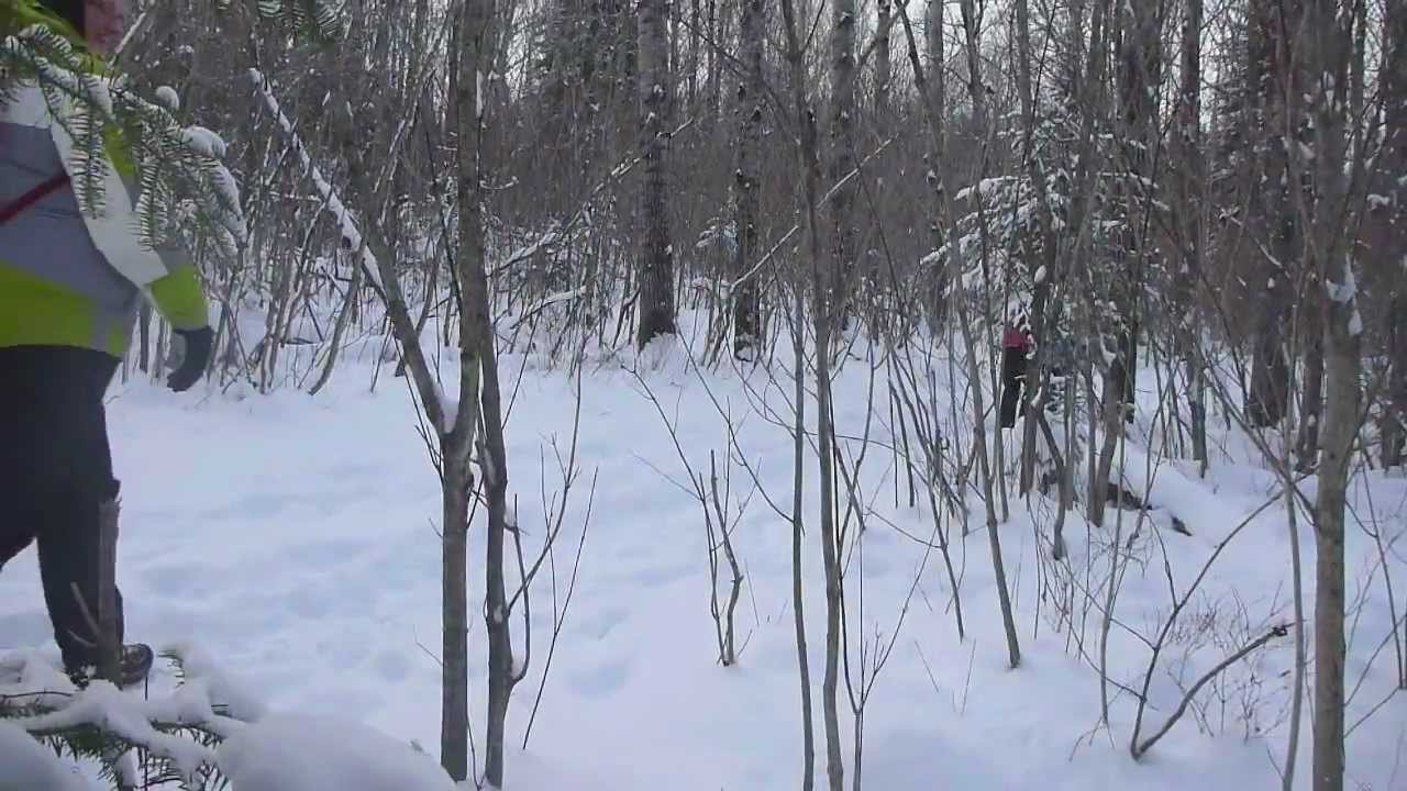 Hiking Mills Block Forest in Winter YouTube