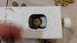 PELAMATIC electric walnut cracker